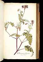  no thumbnail available