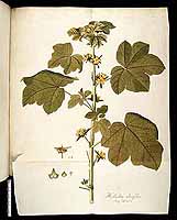  no thumbnail available