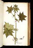  no thumbnail available