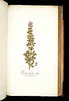  no thumbnail available