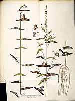  no thumbnail available