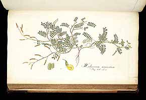  no thumbnail available