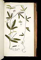  no thumbnail available