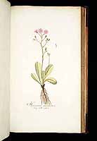  no thumbnail available