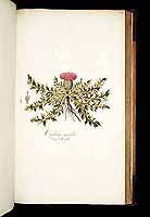  no thumbnail available