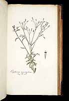  no thumbnail available