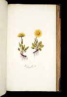  no thumbnail available