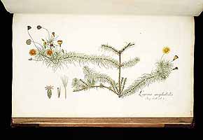  no thumbnail available