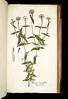  no thumbnail available