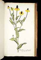  no thumbnail available