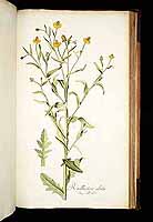  no thumbnail available