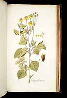  no thumbnail available