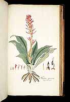  no thumbnail available