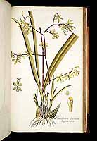  no thumbnail available