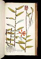  no thumbnail available