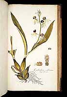  no thumbnail available