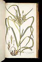  no thumbnail available