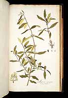  no thumbnail available