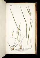  no thumbnail available