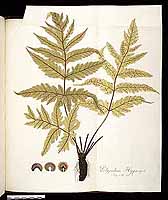  no thumbnail available