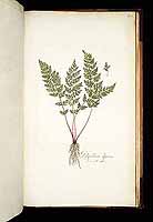  no thumbnail available