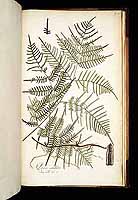  no thumbnail available