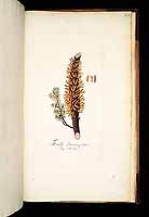  no thumbnail available