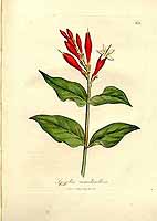  no thumbnail available