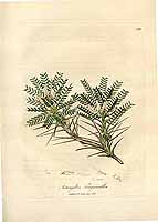  no thumbnail available