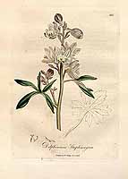  no thumbnail available