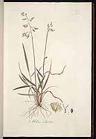  no thumbnail available