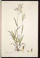  no thumbnail available