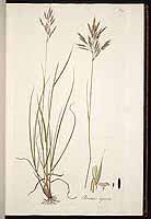  no thumbnail available