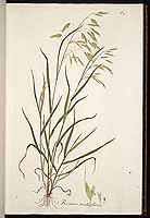  no thumbnail available