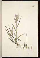  no thumbnail available