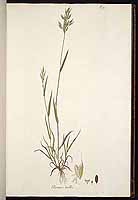  no thumbnail available