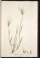  no thumbnail available