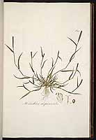  no thumbnail available