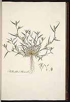  no thumbnail available