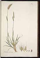  no thumbnail available