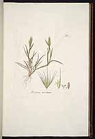  no thumbnail available