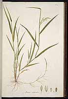  no thumbnail available