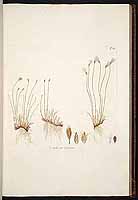  no thumbnail available