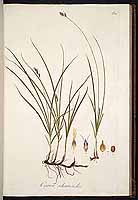  no thumbnail available