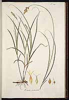  no thumbnail available