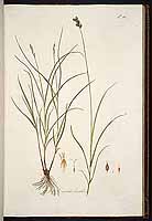  no thumbnail available