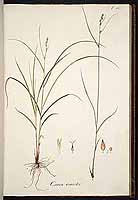  no thumbnail available