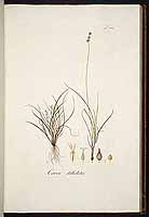  no thumbnail available