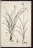  no thumbnail available