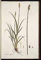  no thumbnail available